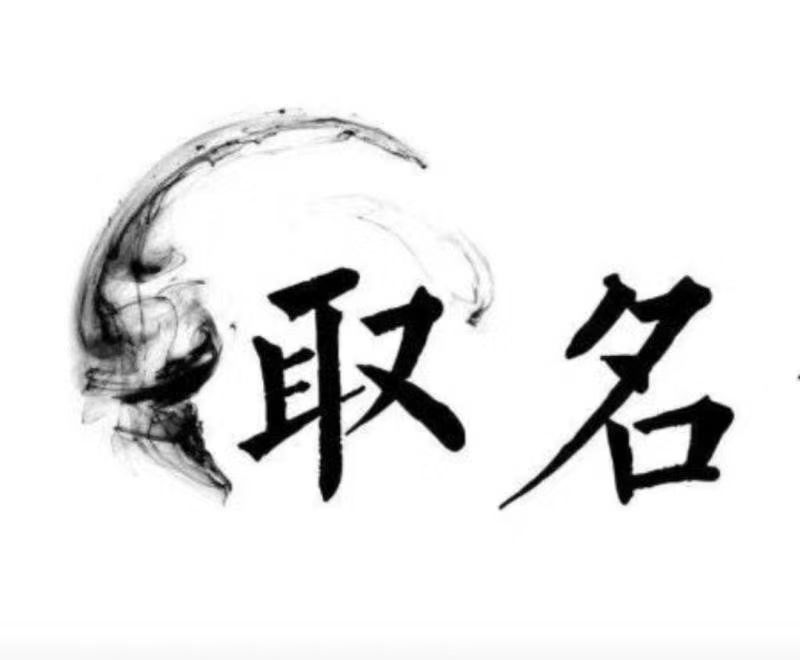  定兴宝宝取名 大师一对一人工起名